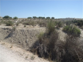 Suelo rústico en PT Los Periquitos, Fortuna (Murcia) 5