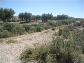Suelo rústico en PT Los Periquitos, Fortuna (Murcia) 8