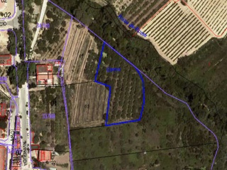 03589-0001 5
