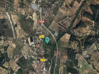 03589-0001 6