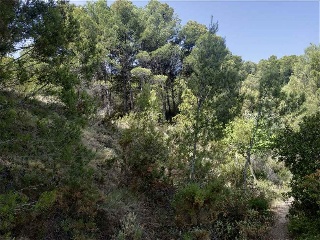 12586-0001 8