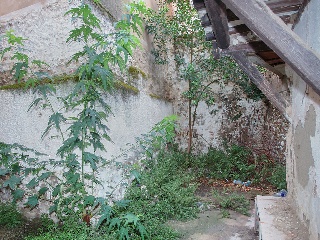 Vivienda en C/ Larga, Cintruénigo (Navarra) 43