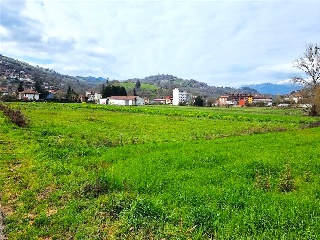 VEGA DE CONTRANQUIL 37
