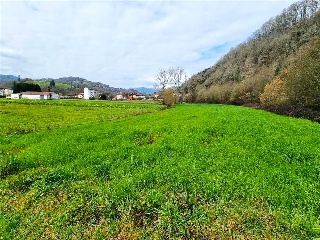 VEGA DE CONTRANQUIL 38