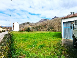 VEGA DE CONTRANQUIL 41