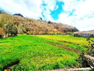 VEGA DE CONTRANQUIL 43