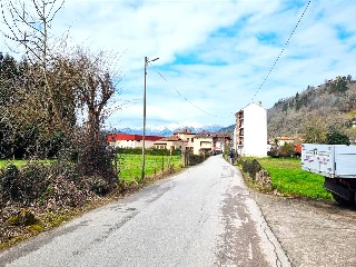 VEGA DE CONTRANQUIL 44