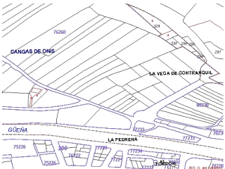 VEGA DE CONTRANQUIL 51