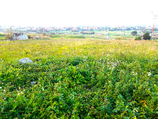 MONTE BOLADO 21