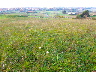 MONTE BOLADO 22