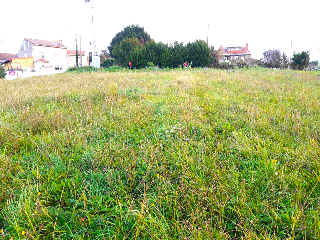 MONTE BOLADO 23