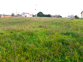 MONTE BOLADO 25