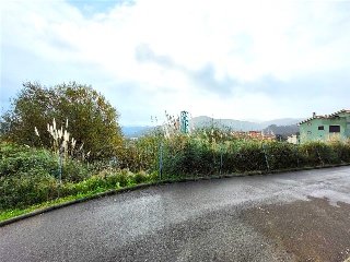 EL PEDROUZO, FINCA DEL QUINTANAL 24