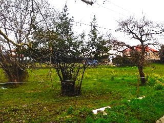 DE ROMANO.UNIDA 17