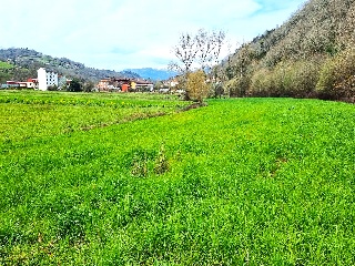 LA BARAGAÑA-DUE 16
