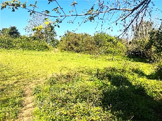 LA BARAGAÑA-DUE 17