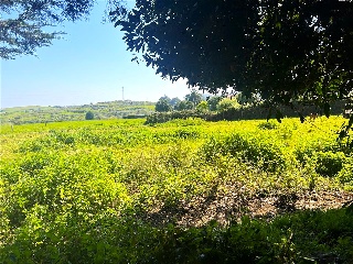 LA BARAGAÑA-DUE 18