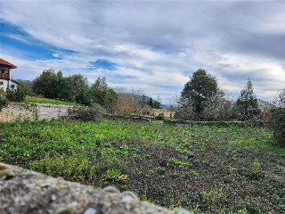 LAMADRID 22