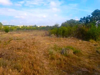 LA SERNA 14