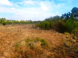 LA SERNA 15