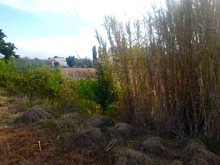 LA SERNA 18