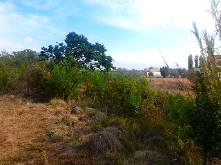 LA SERNA 19