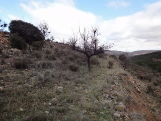 Suelo rústico en Paraje Vallota - Arnedo - La Rioja  14