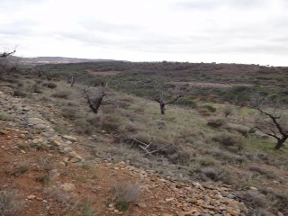 Suelo rústico en Paraje Vallota - Arnedo - La Rioja  15