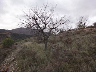 Suelo rústico en Paraje Vallota - Arnedo - La Rioja  17