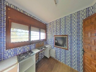 Mirador 5