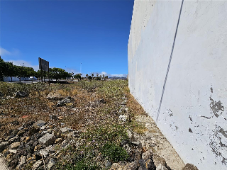 Desamparados Los 4