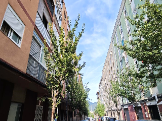 Sant Jordi 3