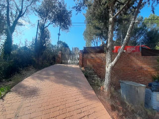 Pineda De La 3