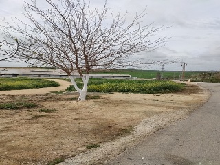 Otros en venta en Burguillos