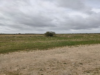 Pp-Oe-R5 13
