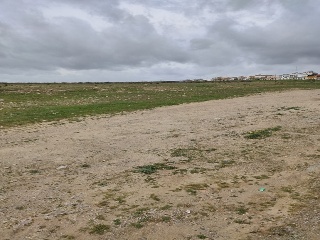 Pp-Oe-R5 14