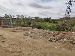 Pp-Oe-R5 19