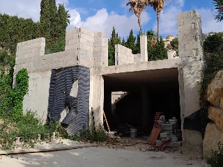 HAYA 6