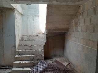 HAYA 7