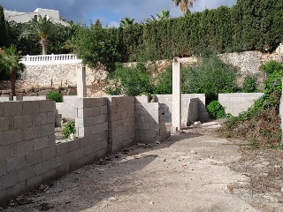 HAYA 10