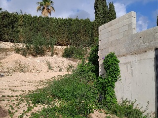 HAYA 11