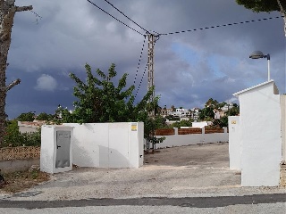 HAYA 12