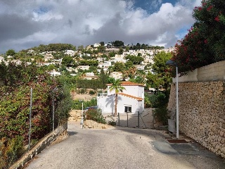 HAYA 13