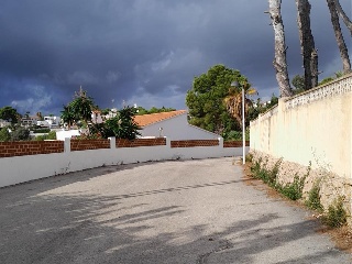 HAYA 14