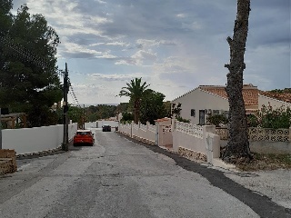 HAYA 15