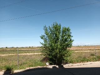 PARC 95 PLG 10 TIERRA LLAMADA LA CAMARA 5
