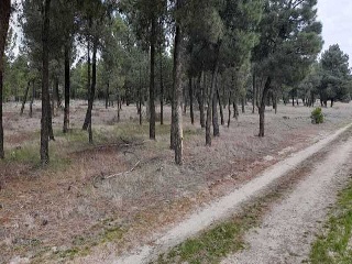 Pisos banco Villanueva de Gómez