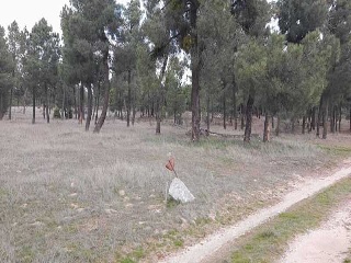 PARAJE BILBAO, TRUEBA Y SENOVILLA 2
