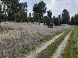 PARAJE BILBAO, TRUEBA Y SENOVILLA 3