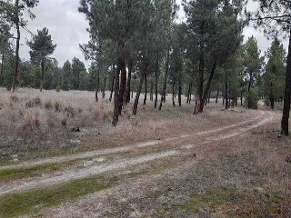 PARAJE BILBAO, TRUEBA Y SENOVILLA 4